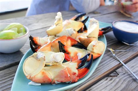 Stone Crab Claws Sweet Claw Meat Delivered From South Florida