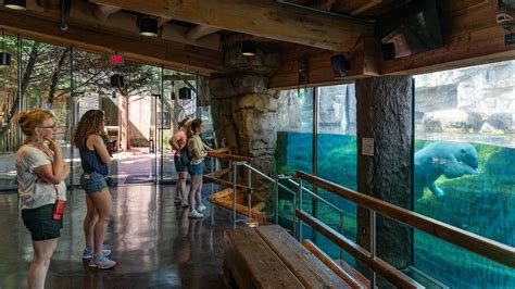 Memphis Zoo Tn Usa Ferienwohnungen Ferienhäuser Und Mehr Fewo Direkt