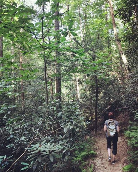 Red River Gorge Is A Popular Hiking Climbing And Outdoor