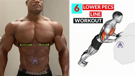 6 Lower Pec Exercises For The Lower Pecs Line Youtube