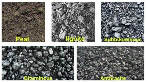 Peat Coal