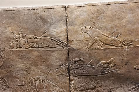 Assyriens Bas Reliefs British Museum Dominique Artis Photographie