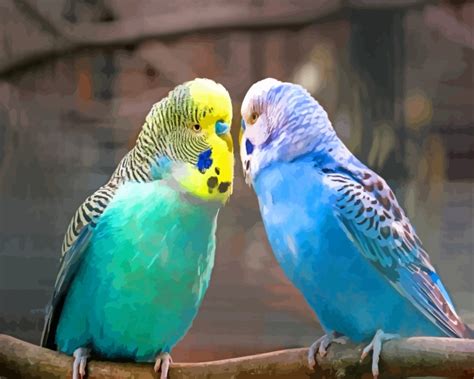 Aesthetic Parakeet Birds 5d Diamond Painting