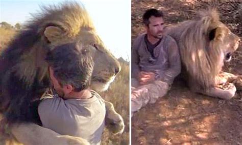 Life As A Lion Whisperer Breathtaking Video Footage Shows The Fierce