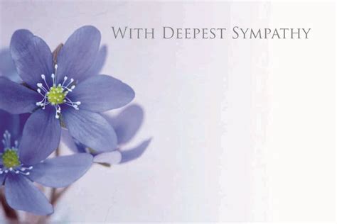 With Deepest Sympathy Blue Flower Sympathy Card X50 Easy Florist