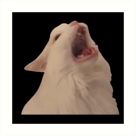 White Cat Screaming Meme Art Print By Goath Redbubble
