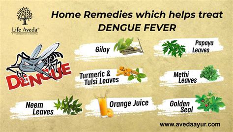 Home Remedies For Dengue Fever Dengue Remedies