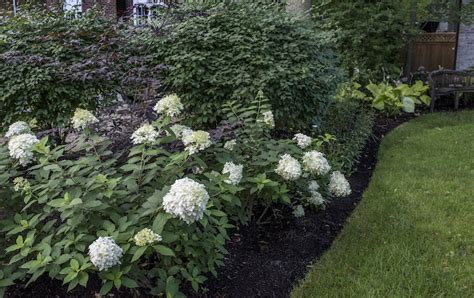 Landscaping Service In Lake Forest Il