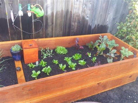 Planter Box W Worm Compost House 2ft Deep ~60 Holes Drilled In The