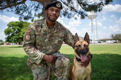 Military Working Dog Certification Ssgt Turner Bess Altus Air Force