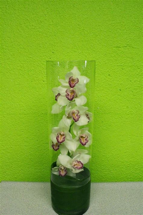Stunning Stem Of A White Cymbidium Orchid In A Modern Cylinder Vase With Aspidistra Leaves