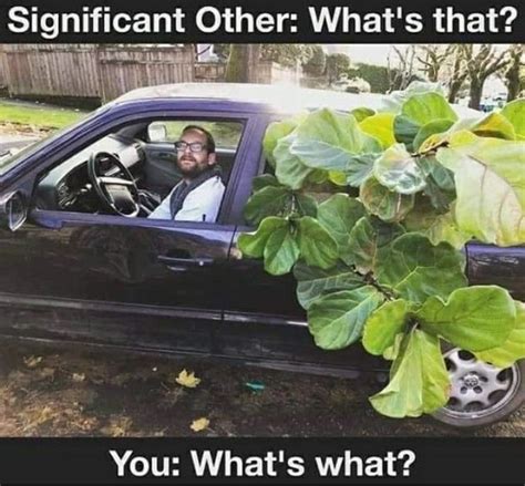 60 Plant Memes For You To Dig Through Funny Gallery Plant Mom Plant