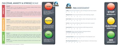 Fear Anxiety And Stress Scaleassessment Double Sided 50 Pack