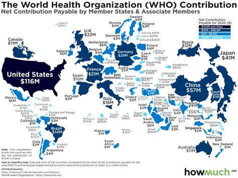 Mapped How Much Each Country Contributes To The World Health
