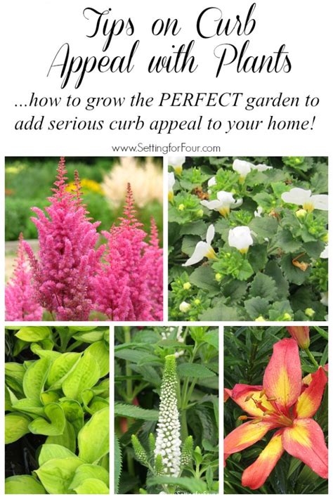 Use these helpful curb appeal tips to offer a house that buyers will fall in love with instantly. Tips on Curb Appeal with Plants - Setting for Four