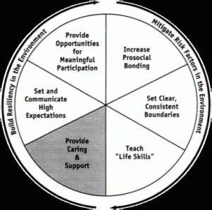 The Resiliency Wheel Captures Common Themes Identified In The Lives Of Individuals Who I
