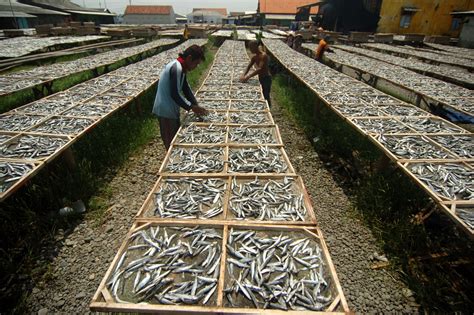 Pemprov Anggarkan Ribu Kuota Asuransi Kepada Nelayan Berita Terkini Jawa Tengah Dan Diy