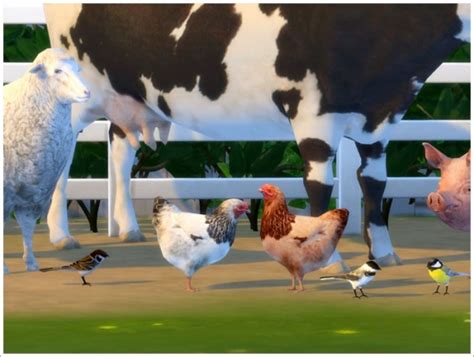Sims By Severinka Animals Converted Part Ii • Sims 4 Downloads