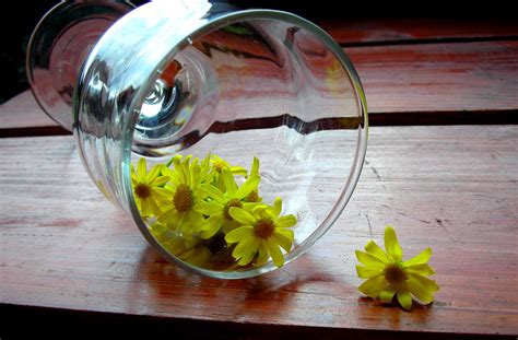 Free Images Light Leaf Flower Glass Food Green Produce Color
