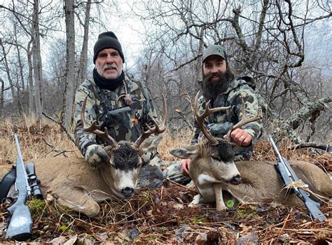 Sitka Blacktail Deer Hunting Outdoors International