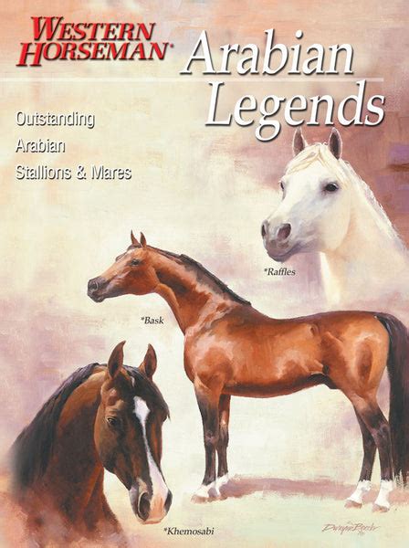Arabian Legends Western Horseman
