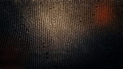 1000 x 1000 jpeg 450 кб. Black Snake Skin Wallpaper - WallpaperSafari