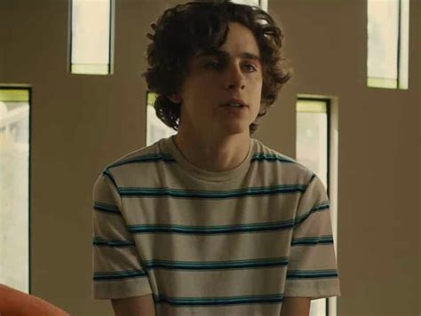 Timothee Chalamet As Nic Sheff In The Upcoming Movie Beautiful Boy Out