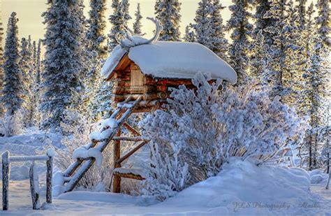 Alaskan Wilderness Winter Scenes Beautiful Winter Pictures Cabins