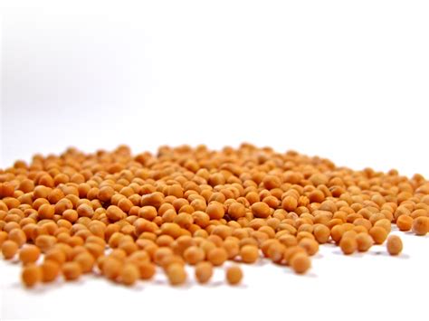 Mustard Seed For Cooking And Health Benefits
