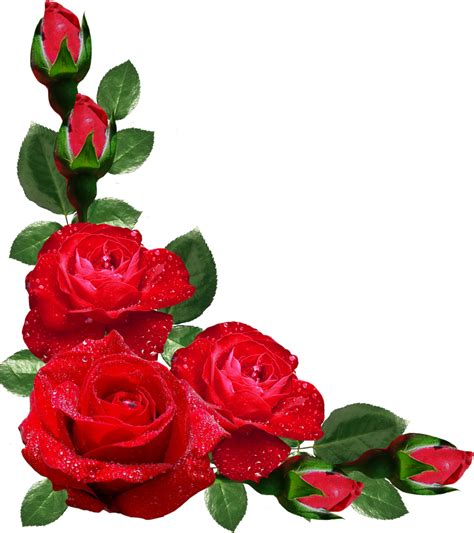 Corner Decoration With Roses Png Clipart Picture Clip Art Borders Images