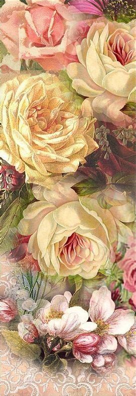 Cabbage Roses Vintage Roses Rose Art Vintage Flowers