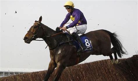 Lord Windermere Earns Six Month Holiday Racing Sport Uk