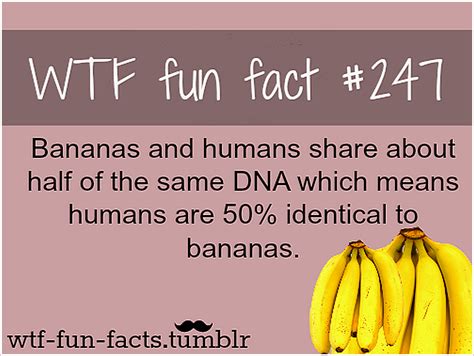 33 True Facts About Famous People Fun Facts Weird Facts Fun Facts Riset