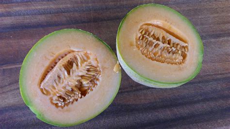 Glut: a year in my patch: A lovely pair of melons