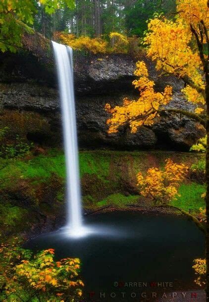 Pin By Jhonny Reinoza On Lugares Para Visitar Waterfall Silver Falls
