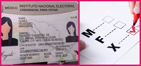 Personas No Binarias Ya Podrán Incluir Identidad De Género En Credencial De Elector Aldea 84