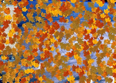 Falling Autumn Leaves Screen Saver Latest Version Get