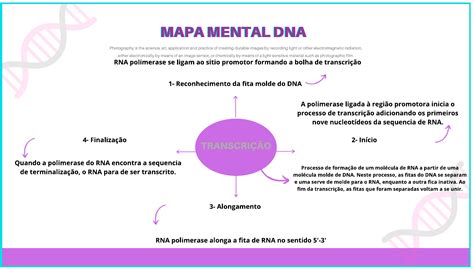 Mapa Mental Transcrição Dna Biologia Molecular