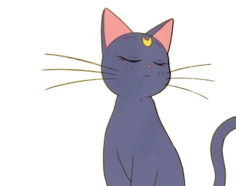 Sailormooncat Sticker Sailor Moon Cat Anime Cat Sailormoon Aesthetic
