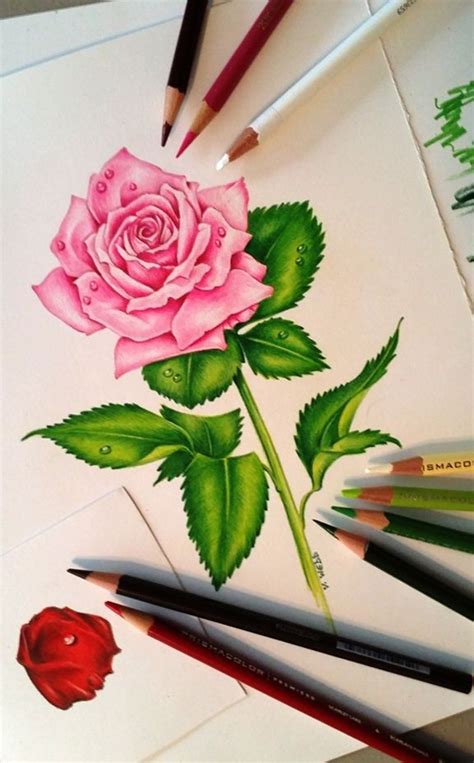 Desenhos De Flores 38 Ideias Para Imprimir E Colorir Artesanato