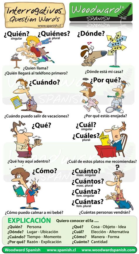 Question Words In Spanish Worksheet