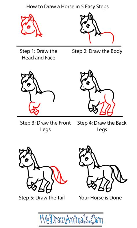 How To Draw A Baby Horse