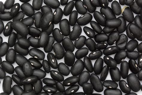 Black Bean Facts Health Benefits And Nutritional Value