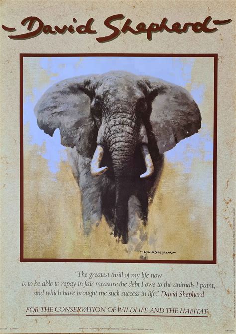 Davidshepherd Poster Elephant Print
