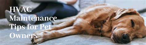 Hvac Maintenance Tips For Pet Owners Hvac Heating And Air