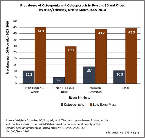 Osteoporosis Aging Population Bmus The Burden Of Musculoskeletal