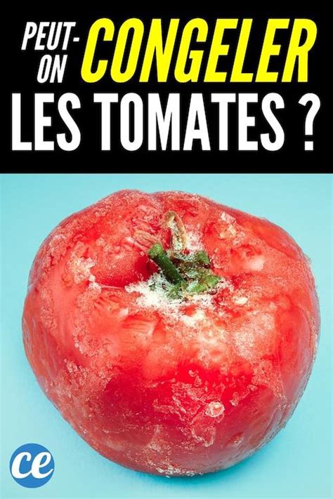 L Astuce Pour Congeler Les Tomates Crues Et Les Garder Fra Ches
