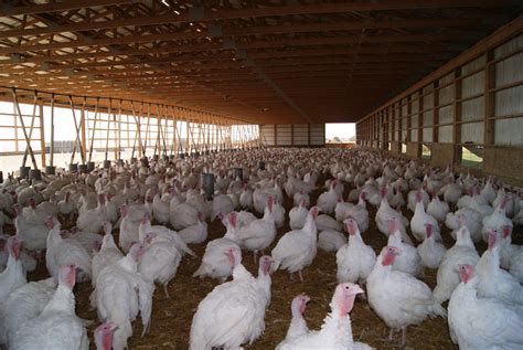 Savour Food Farmers I Know Just In Time For Thanksgiving Winters