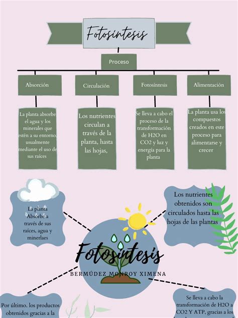 Mapa Conceptual Y Mental Fotosíntesis Pdf