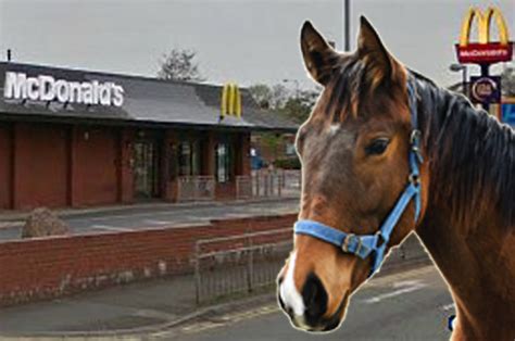 Woman Takes Horse Into Mcdonalds After She Was Refused Drive Thru